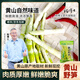 楊博士黃山野筍 凈重200g/袋 新鮮春筍脆筍嫩筍尖涼拌火鍋食材 源頭直發(fā)