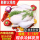 火雞肉整只圣誕季感恩節(jié)冰鮮國產(chǎn)進(jìn)口美國智利火雞火雞肉整只包郵 整只火雞肉10斤裝（國產(chǎn)發(fā)順豐）