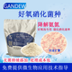 甘度污水處理菌種硝化細菌粉微生物菌劑好氧池降解氨氮cod凈水劑穩定 粉末狀1kg裝