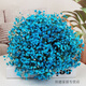 滿(mǎn)天星干花花束客廳擺設真花裝飾擺件鮮花瓶批發(fā)送人生日禮物女友 藍色滿(mǎn)天星大束