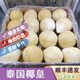 泰國進(jìn)口牛奶椰皇新鮮當(dāng)季時(shí)令香甜多汁椰皇香水椰青孕婦凍椰順豐 2個裝 單果350-400g
