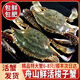 【鮮活發(fā)貨】舟山鮮活梭子蟹次日達超大螃蟹白蟹飛蟹海蟹海鮮水產(chǎn) 【店長推薦】4斤裝特大蟹6-8只 充氧氣+冰袋+木屑+保溫袋+泡沫箱