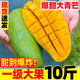 新鮮大青芒當(dāng)季新鮮熱帶水果批發(fā)香甜薄皮整箱10斤青芒果大果包郵 9斤