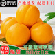 近源黃油桃蟠桃正宗平谷特產(chǎn)新鮮大桃水蜜桃應(yīng)季多汁脆嫩老人小孩水果 黃金油桃-圓桃【禮盒裝】 熱銷中果【凈重6斤/約15個(gè)】