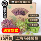 【順豐JD】馬陸葡萄上海嘉定巨峰玫瑰香葡萄新鮮直達(dá)水果次日發(fā) 10斤（凈重8.6-9.8斤） 【人氣單品】巨峰葡萄