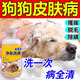 帥哲狗狗藥浴皮膚病真菌感染狗貓身上長癬皮炎去跳蚤殺螨除菌專用泡澡 300ml 1瓶 三瓶裝