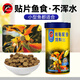 海豚貼片魚食100g小型魚飼料 燈科孔雀魚黑尾大勾通用魚糧 熱帶魚飼料