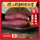 平丘山【本店熱賣】邱縣蜂蜜紅薯沙地糖心番薯新鮮地瓜紅皮黃心農家自種 普通裝8斤 黃心蜂蜜紅薯
