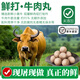 【現(xiàn)打 兒童高鈣牛肉丸】新鮮小黃牛 牛肉生鮮食材 家庭火鍋燒烤 牛肉丸 250g*1袋-家庭款