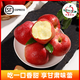 人類(lèi)第四個(gè)蘋(píng)果慶陽(yáng)紅富士蘋(píng)果整箱 冰糖心蘋(píng)果采購送禮 現季水果過(guò)時(shí)則無(wú) A級富士5斤（含箱）9枚嘗鮮裝