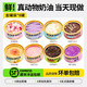 淺茶家盒子蛋糕罐子小蛋糕網(wǎng)紅奶皮子慕斯奶酪下午茶點(diǎn)心食品送禮送女友 聚會(huì )滿(mǎn)足暢吃8罐裝-可更改口味