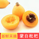 綠養(yǎng)道【順豐快遞】云南蒙自枇杷新鮮枇杷果 新鮮水果 3斤