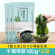 樸小樣烘干裙帶菜 干貨兒童裙帶菜整顆高泡發(fā)海帶寶寶裙帶菜嫩葉100g 300g 簡裝 干裙帶菜