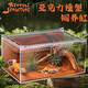 Reptile Structure亞克力造型飼養盒爬寵守宮蜥蜴箱沙漠造景蛇寄居蟹角蛙龜鼠婦蜘蛛 大30*20*15