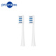 博皓（prooral）電動(dòng)牙刷頭 2740【T36/T39適用】