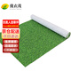 優(yōu)衣茂仿真草坪塑料墊戶(hù)外人造草橡膠地毯草皮陽(yáng)臺室內裝飾2cm白底2*4