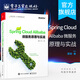 Spring Cloud Alibaba 微服務(wù)原理與實(shí)戰  Java架構 微服務(wù)設計原理與架構