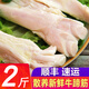 牛蹄筋新鮮2斤黃牛蹄筋 生牛筋 牛大筋 原切牛蹄筋生鮮牛肉冷凍 牛蹄筋 2斤裝