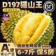 什果樂貓山王榴蓮（D197）馬來西亞進口帶殼整果液氮冷凍水果禮盒 優(yōu)選果凈重2.5-3.0斤（包4房）