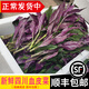 辰實【順豐/JD快遞】血皮菜新鮮 當季新鮮蔬菜 四川嫩紫背菜 天葵觀音 3斤