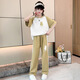 艾諾輪女童休閑套裝夏裝款兒童裝衣服中大童少女學(xué)生短袖運(yùn)動(dòng)長(zhǎng)褲兩件套 YC拼接兔套裝-夏-卡其 140 建議身高130-140CM左右