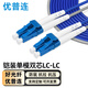 優(yōu)普連 電信級鎧裝光纖跳線單模雙芯LC-LC/SC/FC/ST 千兆萬兆鎧甲尾纖 防鼠咬抗拉抗彎跳纖光纖線 鎧裝單模雙芯LC-LC 200米