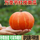 風(fēng)車(chē)車(chē)農(nóng)場(chǎng)紅皮南瓜 貝貝萬(wàn)圣節(jié)雕刻南瓜燈 金倭瓜 紅南瓜 軟糯香甜板栗味 5斤 （個(gè)數(shù)隨機(jī)）
