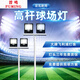 普鳴戶(hù)外投光燈籃球場(chǎng)照明燈足球場(chǎng)高桿投光led工程燈大功率戶(hù)外燈具 4米T形-飛利浦200W*2頭共400W