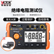 勝利儀器（VICTOR）兆歐表 絕緣電阻測試儀1000V/2500V 數字搖表 VC60D+配電源適配器