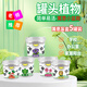 德沃多肥料小禾童種植杯套裝5個裝向日葵薄荷波斯菊牽?；S機種植觀察杯