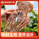 東山館章魚干淡曬八爪魚干海鮮干貨海產(chǎn)品福建特產(chǎn)新鮮煲湯食材孕婦 章魚干500g
