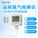 彭云氨氣濃度檢測儀S21A6雞舍氨氣濃度報(bào)警器遠(yuǎn)程4G工業(yè)數(shù)顯NH3傳感器 S21A6遠(yuǎn)程氨氣檢測儀 外置式
