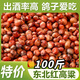 東北農(nóng)家高粱去殼帶皮新紅高粱鳥(niǎo)食釀酒釀醋喂鴿子飼料5/10斤20斤 100斤 東北大紅高粱喂鴿子/釀酒