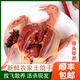 【順豐包郵】散養土鴿煲湯新鮮鴿子肉乳鴿煲湯月子補品鴿子 2只乳鴿【4兩左右/只】