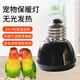 花卷寶寶鸚鵡取暖器保溫燈加熱無(wú)光陶瓷燈保暖燈小雞育雛過(guò)冬取暖燈防燙 無(wú)光保暖燈80w1個(gè)