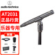 鐵三角 AT2031 小振膜電容話(huà)筒鋼琴古箏吉他原聲樂(lè)器舞臺(tái)演出錄音直播有線(xiàn)麥克風(fēng)ASMR助眠立體聲麥克風(fēng) AT2031 (需48V供電）