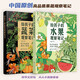 小澈麻麻：給孩子的果蔬觀察筆記（水果+蔬菜 2冊(cè)套裝）原創(chuàng)高品質(zhì) 隨書附贈(zèng)62張涂色線稿+2張大幅精美海報(bào)！