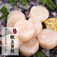 品鮮奕號帆立貝柱 健康輕食大號瑤柱扇貝肉 寶寶瑤柱貝柱 海鮮水產(chǎn) 帆立貝柱1盒超大(2斤/盒)