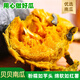 京地達(dá) 山東貝貝南瓜 凈重4.5斤單果250g+板栗口感新鮮蔬菜源頭直發(fā)包郵