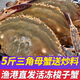 鮨京【漁港直發(fā)】梭子蟹鮮活冷凍螃蟹新鮮肉母蟹飛蟹白蟹海鮮水產(chǎn) 【三角母5斤】梭子蟹(約20~25只)