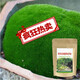 苔蘚青苔植物種子吸水上水石盆栽假山盆鋪面微景觀孢子粉四季鮮活 野生苔蘚孢子粉【41.9克】