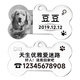 聚創(chuàng)麒定制寵物狗牌刻字照片二維碼高端防丟身份牌定做貓牌吊牌鈴鐺項(xiàng)圈 骨頭款 大號(hào)