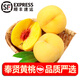 諸氏橙品奉賢黃桃【順豐】新鮮桃子水果 光明蜜桃 紅心錦繡脆甜大桃子禮盒 一級果12枚禮盒裝【單果4兩+】