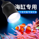 益科達海缸燈led海水魚缸燈水草小丑魚珊瑚專用可調(diào)焦藍白補光造景夾燈 7.2W黑色花型海缸燈-藍白變光60缸內(nèi)