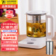 山水（SANSUI）日本山水養(yǎng)生壺辦公室燒水壺家用迷你1.5L煮茶器電熱開水壺預約保溫帶濾網團購送禮公司福利送長輩 白色 1.5L