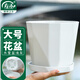 壽禾 花盆大號帶托盤(pán)樹(shù)脂塑料綠植種植盆 木里盆大號-淺灰