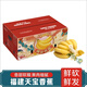 南步福建漳州天寶蕉 黃皮香蕉紅美人高山甜香蕉現(xiàn)割青綠香蕉新鮮水果 天寶蕉 5斤