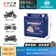 猛獅科技春風(fēng)極核150NK250SR250NK400NK450SR650NK國(guó)賓700CLX800MT電瓶 5：春風(fēng)250NK/250SR 容量:9A