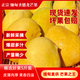 花農(nóng)氏正宗緬甸進(jìn)口精品圣德龍芒果 新鮮熱帶水果 爆甜多汁 新鮮 5斤