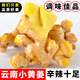 中鮮生 云南小黃姜現(xiàn)挖生姜月子姜 新鮮蔬菜 2025年新姜 小黃姜5斤凈重
